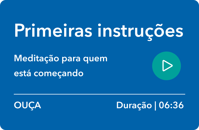 Primeiras instruções (celular)