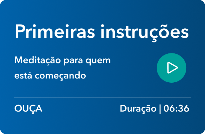 Primeiras instruções (celular)
